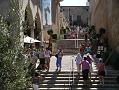 Palma 9